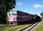 2020.08.27 JHMD T47.019 Jindřichův Hradec - Nová Bystřice Güterverkehr Rollbock (9)